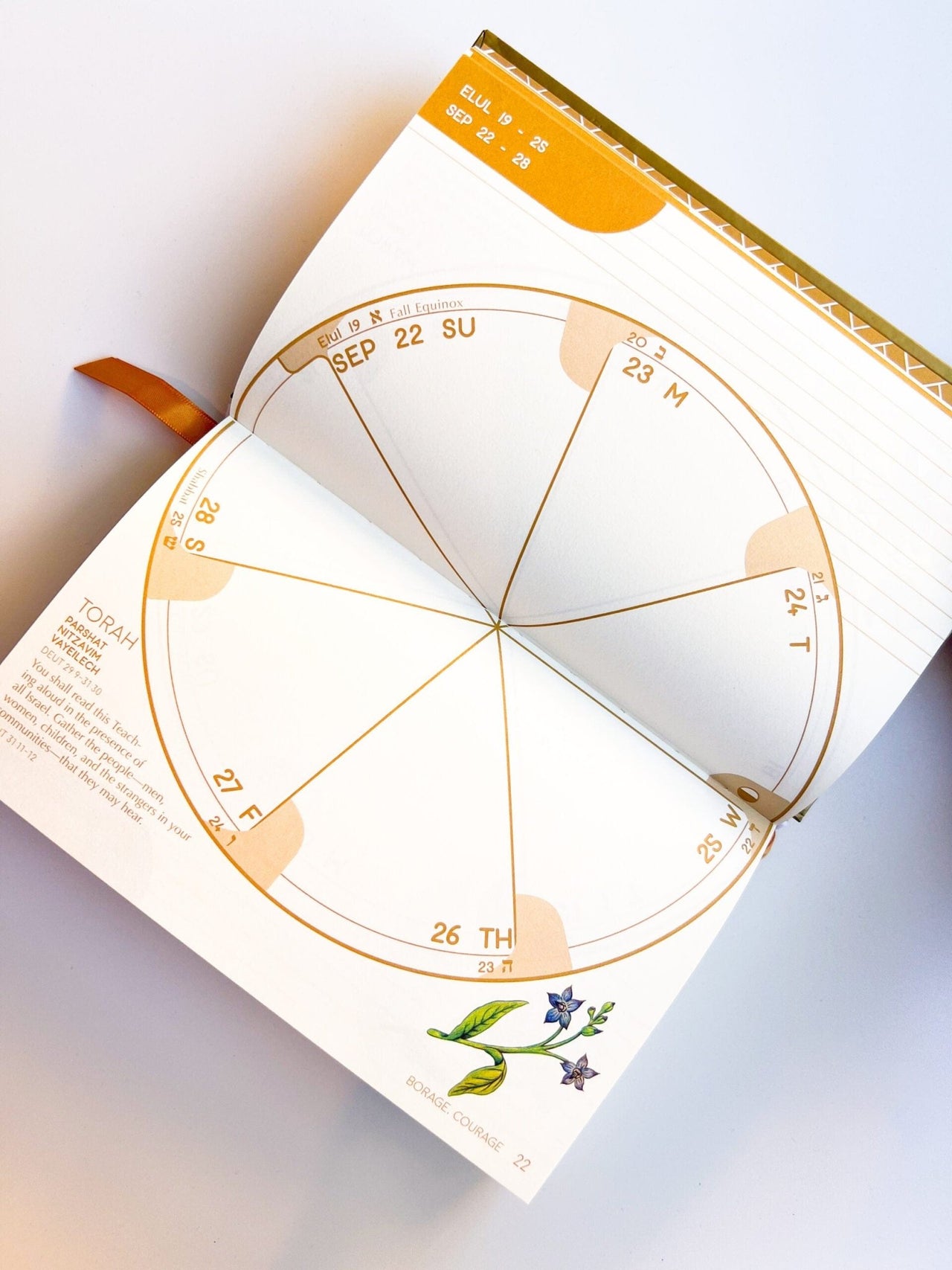 Gold Herring - The Jewish Planner 5786 (2025 - 2026) - ModernTribe