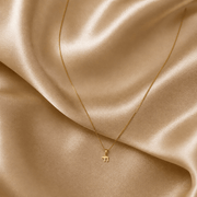 Alef Bet Necklaces 14k Gold Mini Chai Necklace