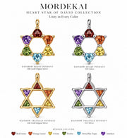 Rainbow Heart Star of David Pendant Necklace