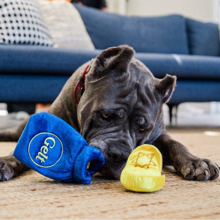 P.L.A.Y Pet Toys Paw-nukkah Doggy Gelt Coins