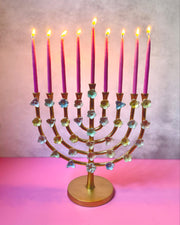 Amy Kritzer Becker Menorahs Rainbow Floral Lily Menorah
