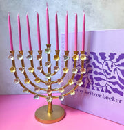 Amy Kritzer Becker Menorahs Rainbow Floral Lily Menorah