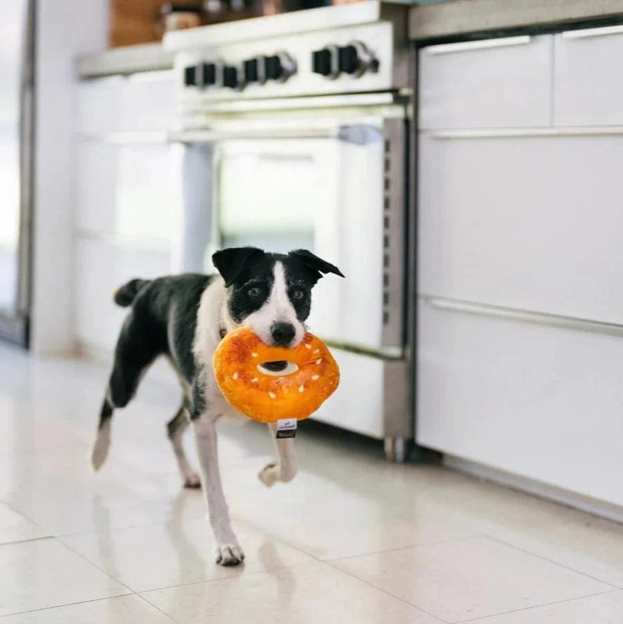 P.L.A.Y - Montreal Bagel Plush Dog Toy - ModernTribe