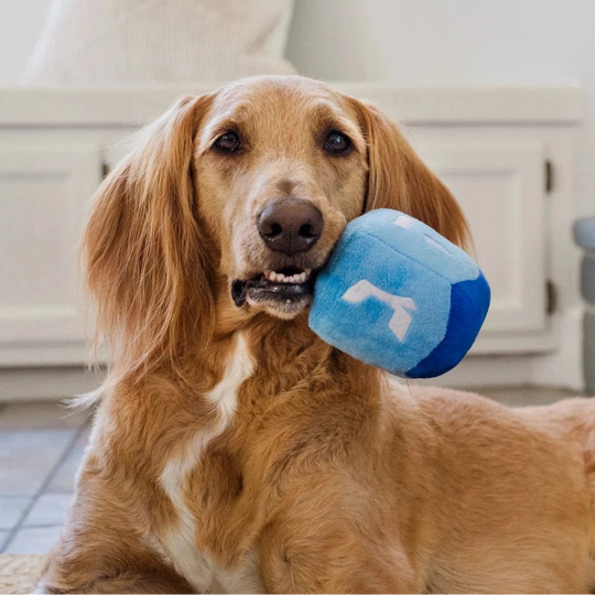 Paw-nukkah Doggy Dreidel Dog Toy