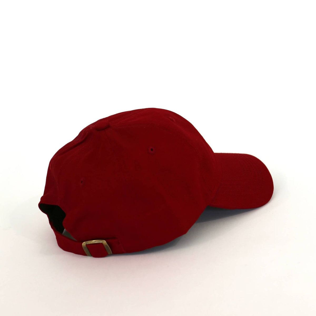 Noshing Dad Hat - Red - view 4