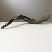 Rite Lite Shofars Yemenite Shofar - Long - As Seen on Colbert Report
