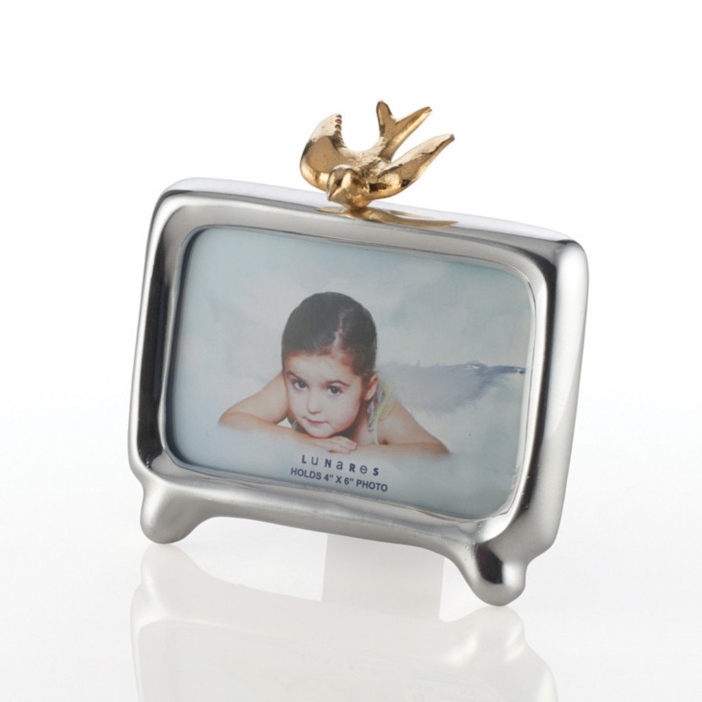 Lunares - Lunares Silver and Gold 4x6 Dove Frame - ModernTribe