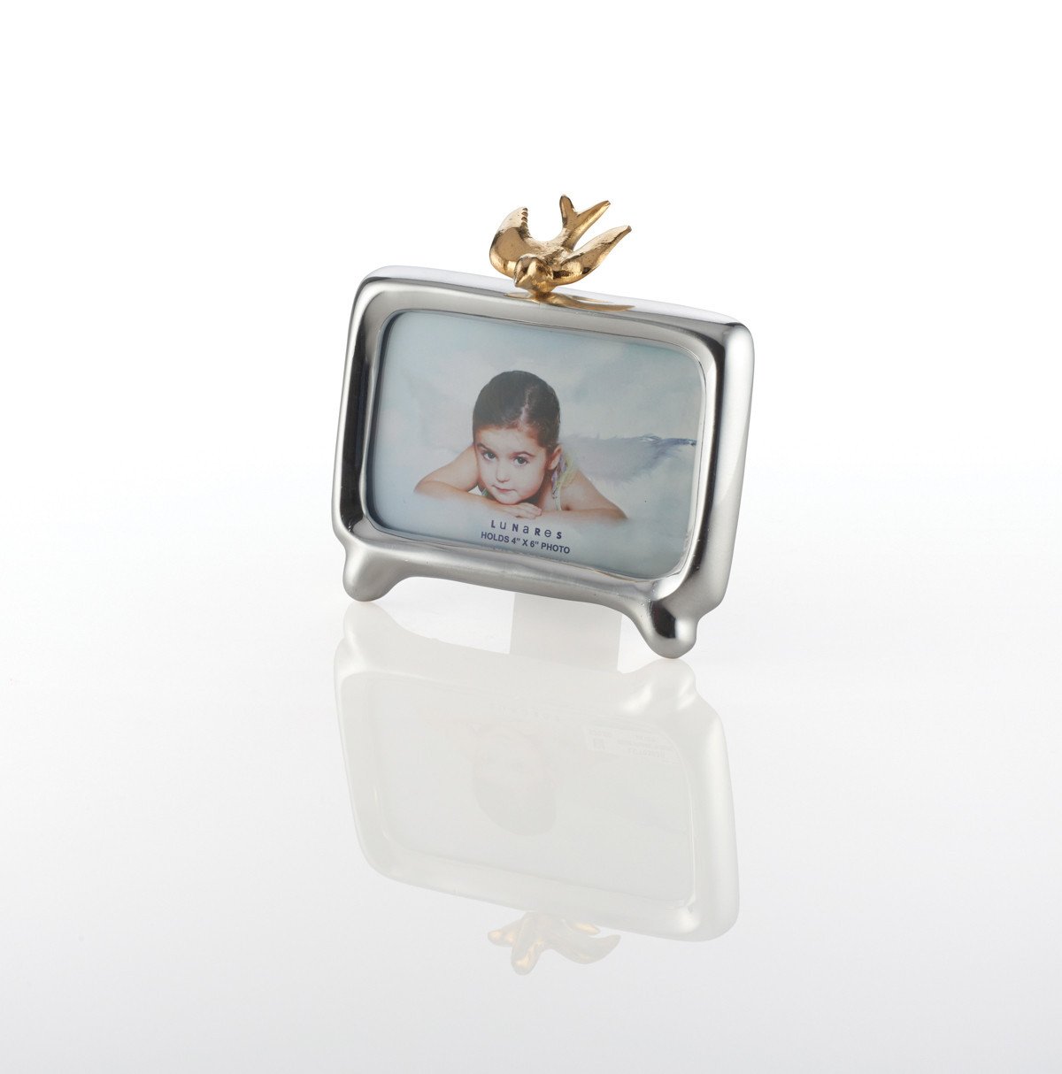 Lunares - Lunares Silver and Gold 4x6 Dove Frame - ModernTribe