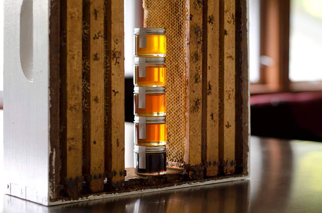 Waxing Kara - Honey Tasting Tower - ModernTribe