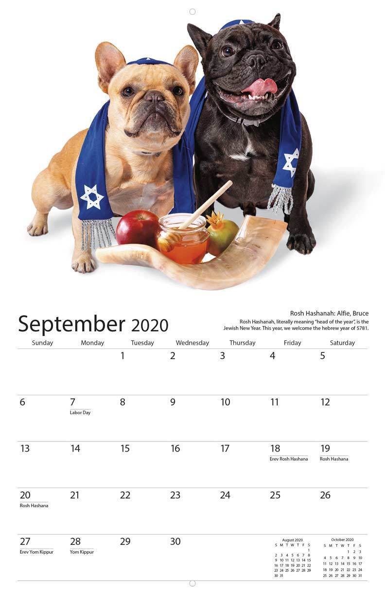 Other - Nice Jewish Dogs Calendar 2020 - ModernTribe