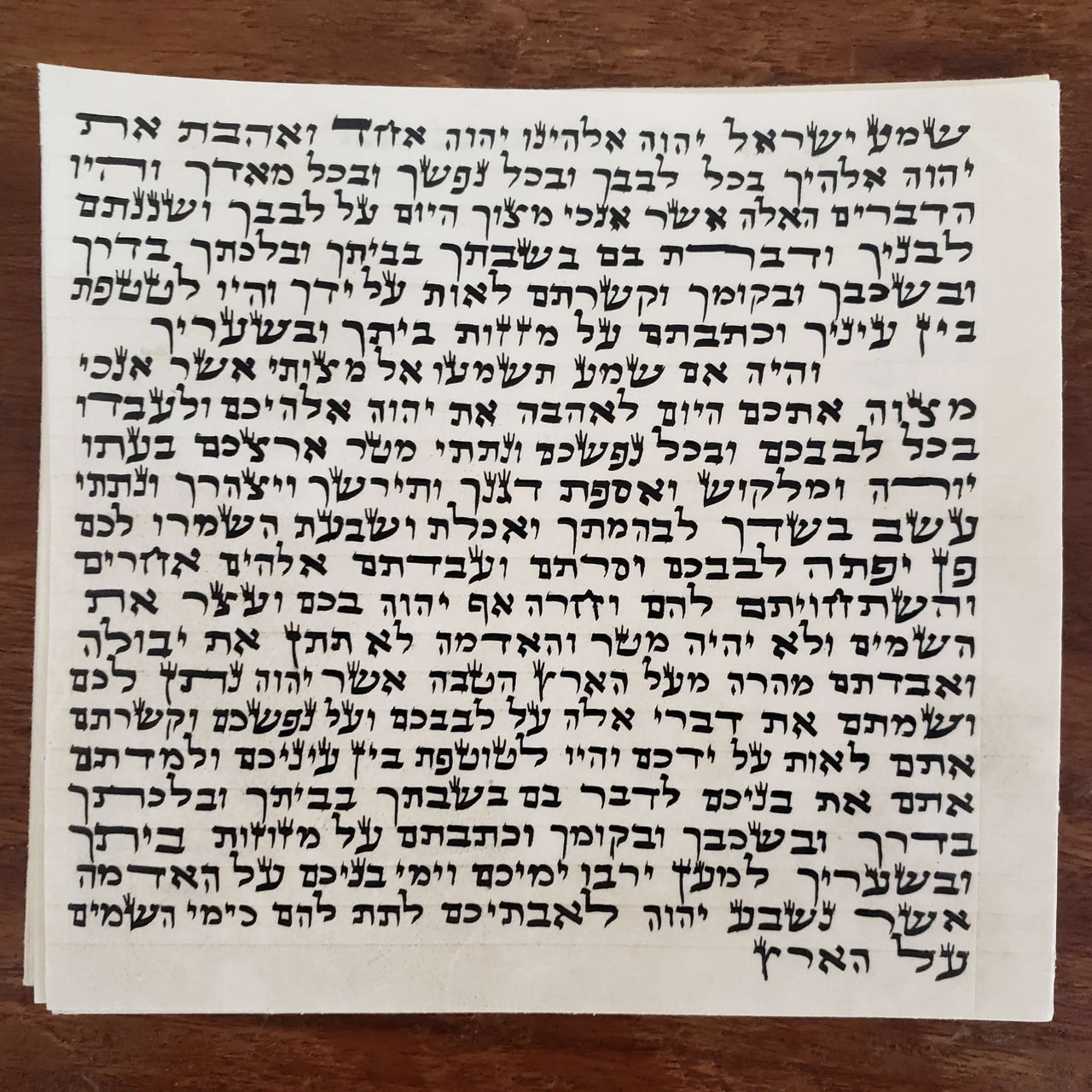 Vashti Mezuzahs Kosher Mezuzah Parchment Scroll (Klaf)