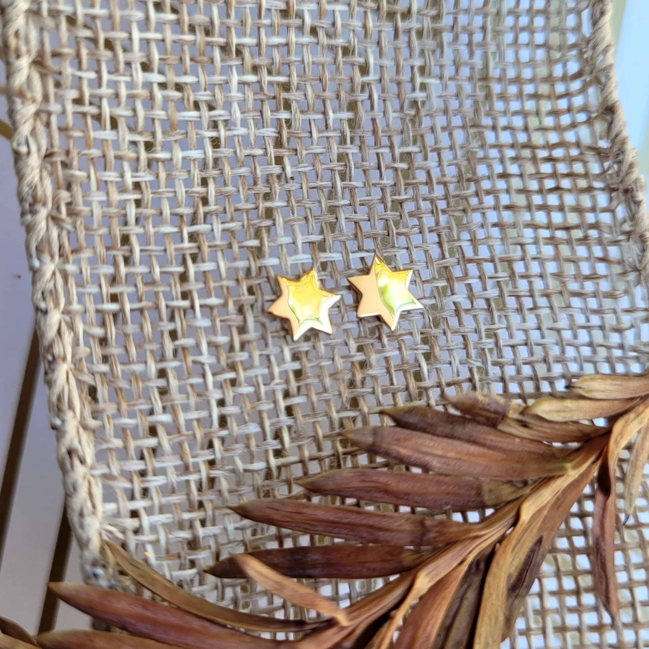 Alef Bet - Gold - Plated Star of David Earrings - ModernTribe