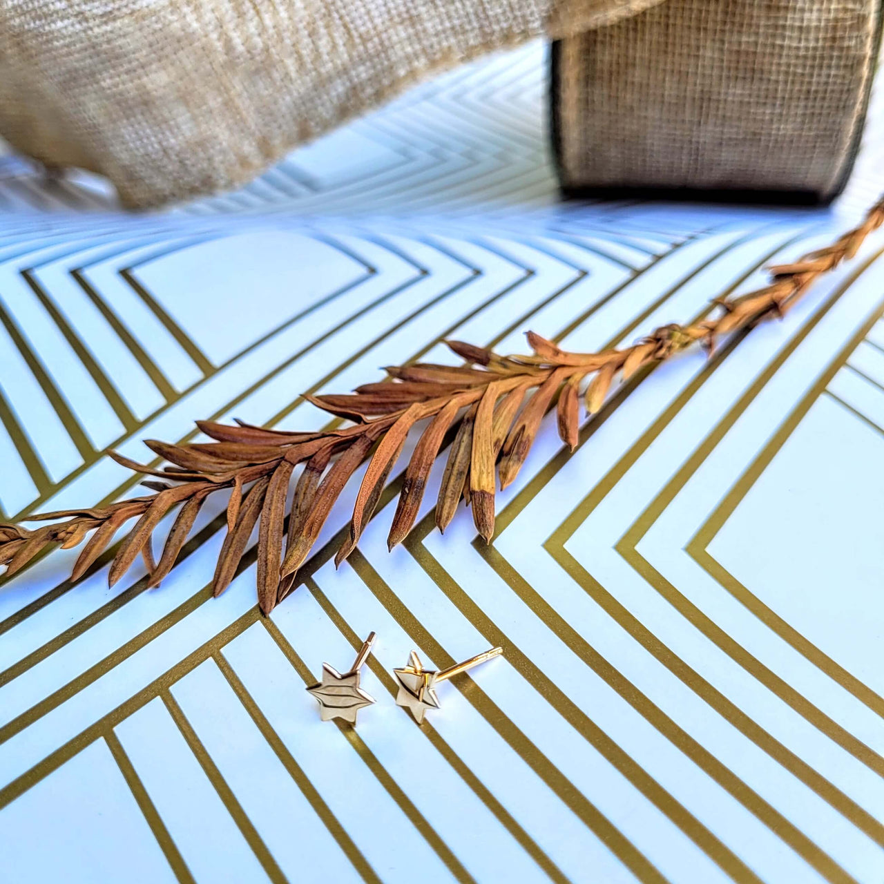 Alef Bet - Gold - Plated Star of David Earrings - ModernTribe