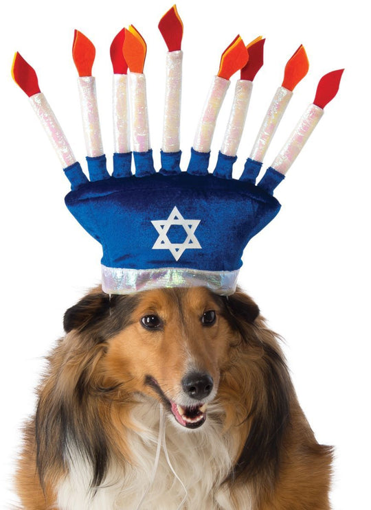 Pet Menorah Hat