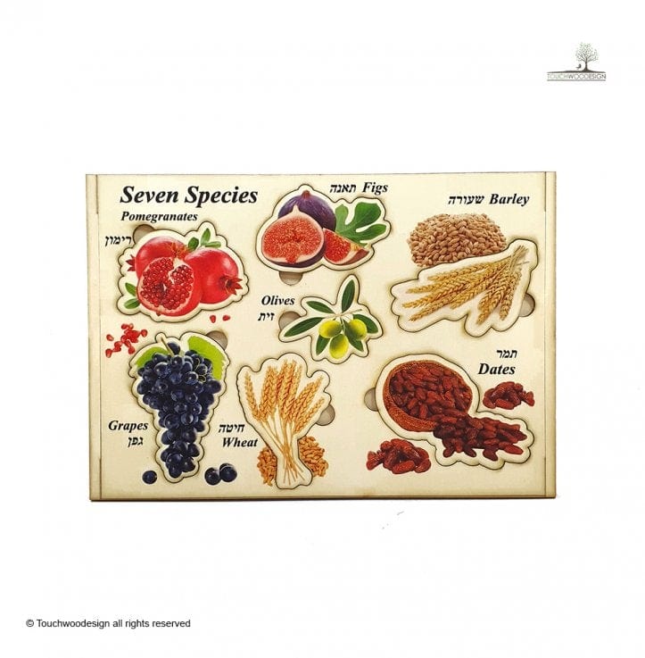Touchwoodesign - Seven Species Puzzle - ModernTribe