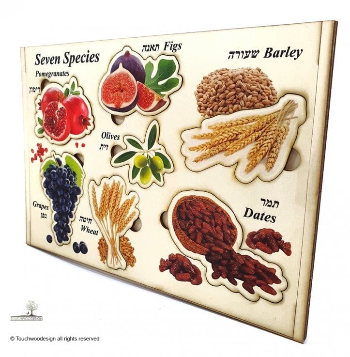 Touchwoodesign - Seven Species Puzzle - ModernTribe