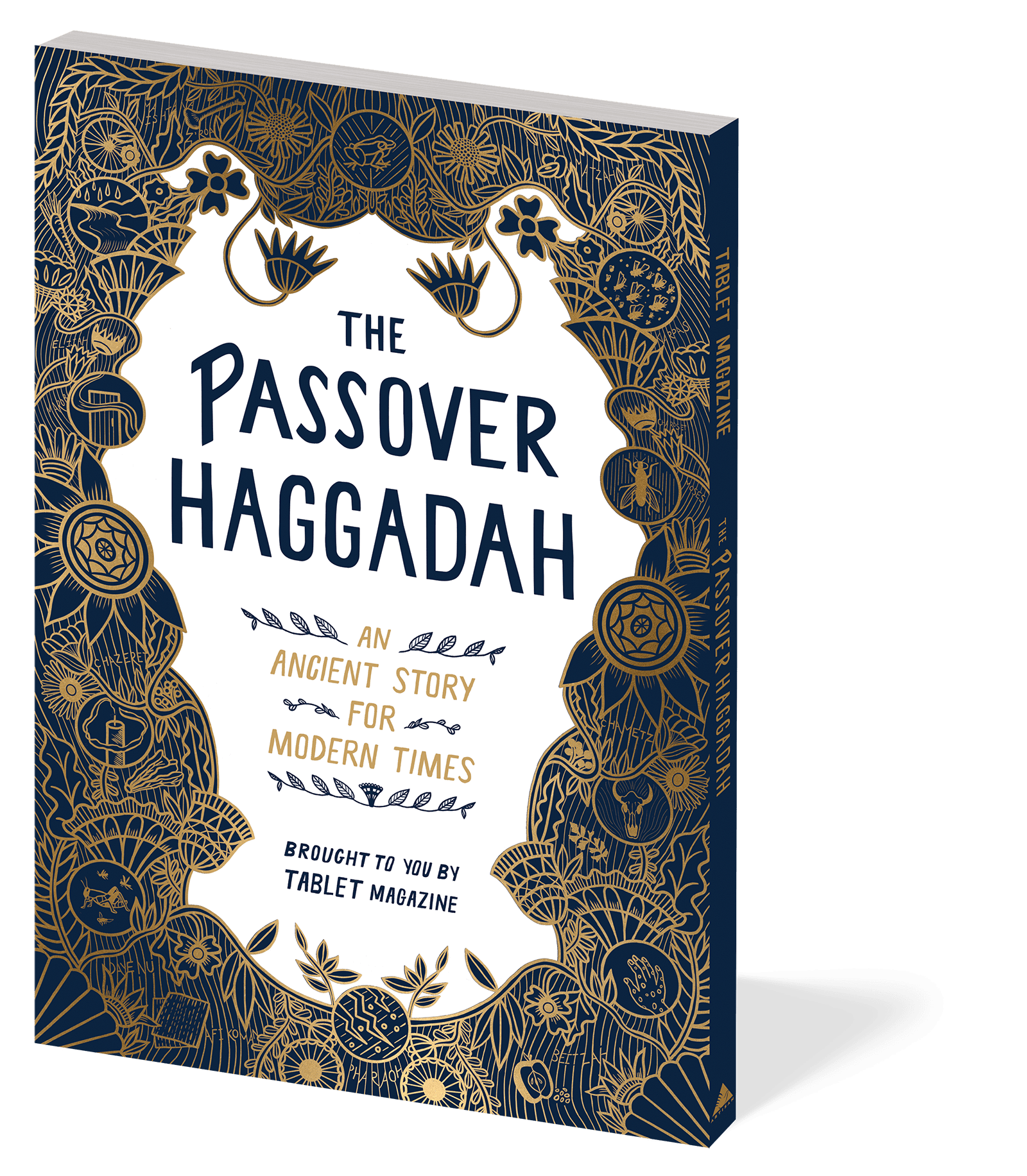Artisan Book The Passover Haggadah: An Ancient Story for Modern Times