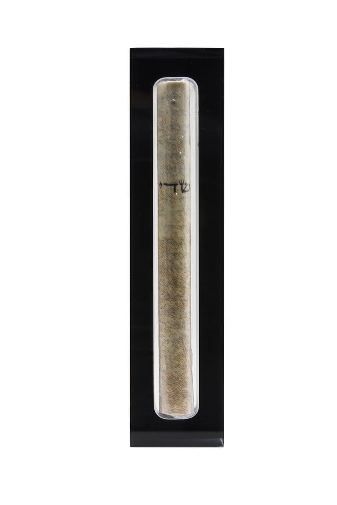 Apeloig Collection - Acrylic Mezuzah - (Choice of Colors) - ModernTribe