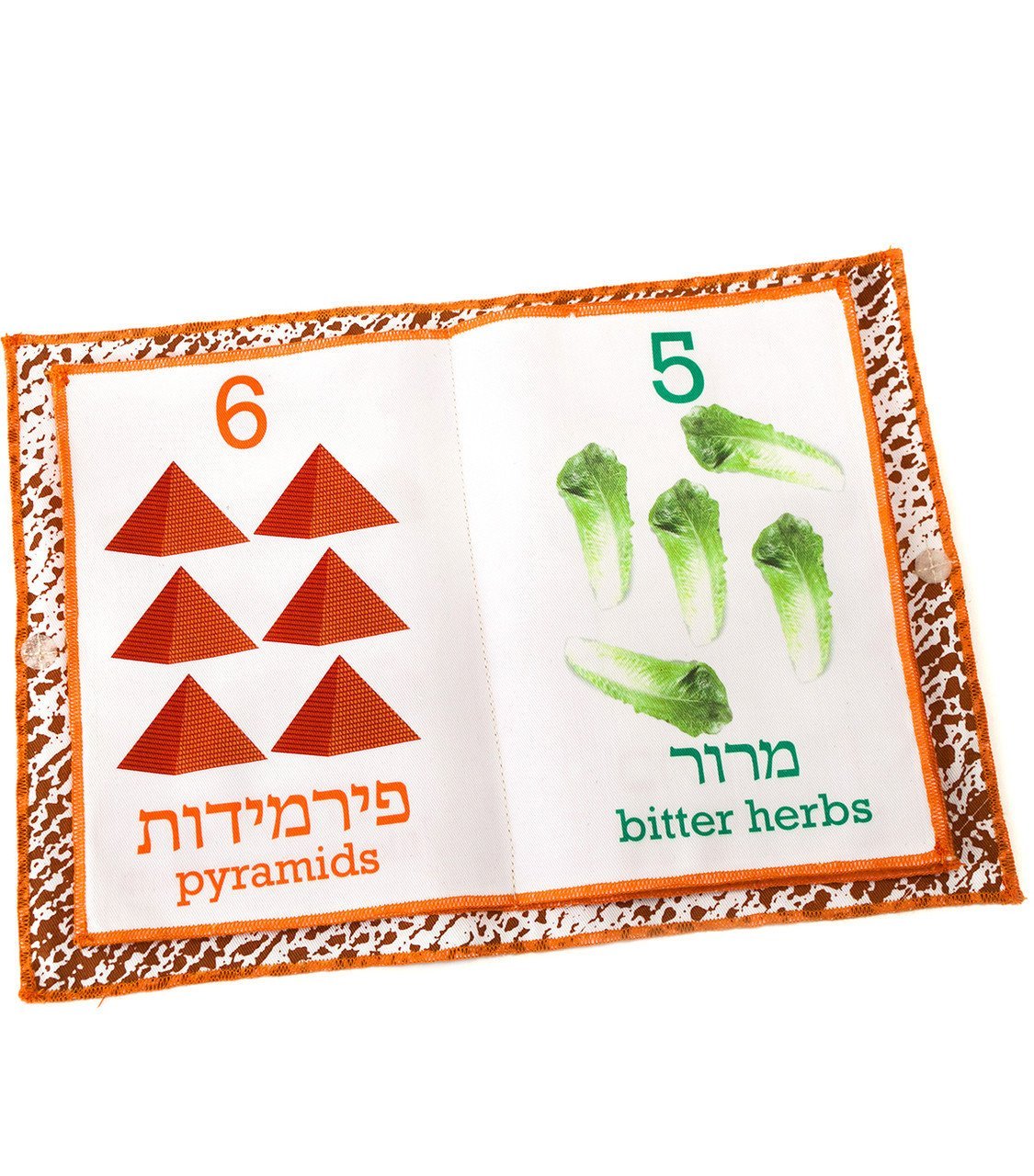 Barbara Shaw - Passover Counting Book by Barbara Shaw - ModernTribe