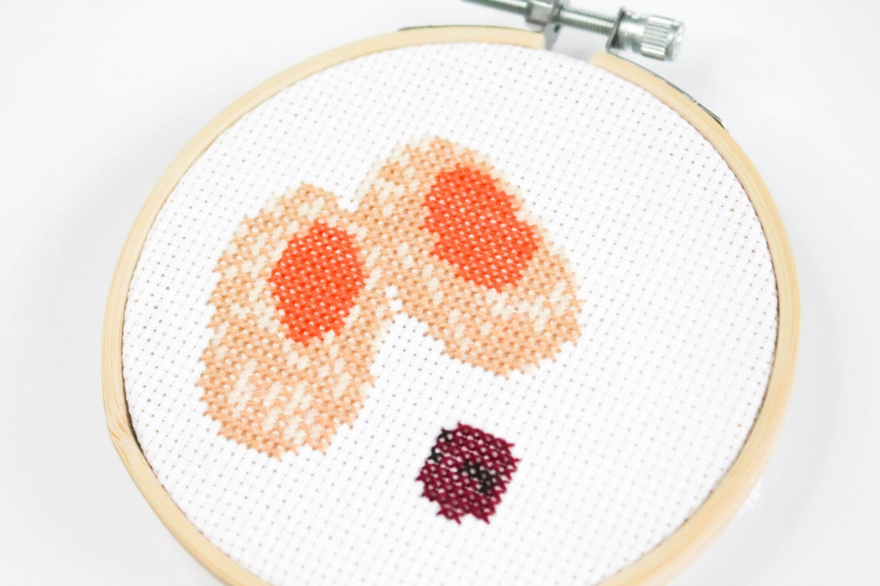 Michigan Craft Co. - Gefilte Fish Cross Stitch Kit - ModernTribe