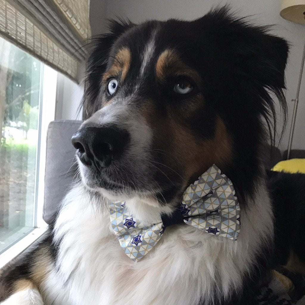 ChuckleHound - Jewish Pet Bowtie - ModernTribe