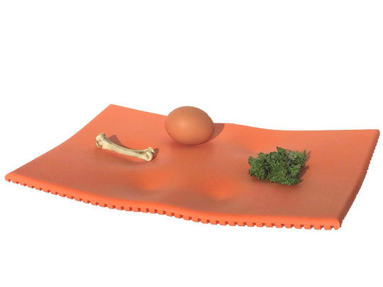 Corian(r) Orange Seder Plate