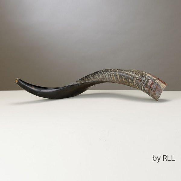 Rite Lite Shofar Default Yemenite Shofar - Medium