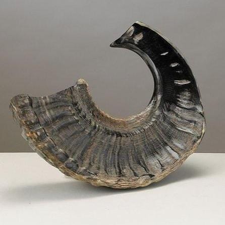 Small Shofar