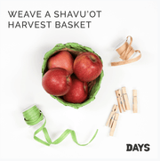 Days United Toy Shavuot in a Box Kit