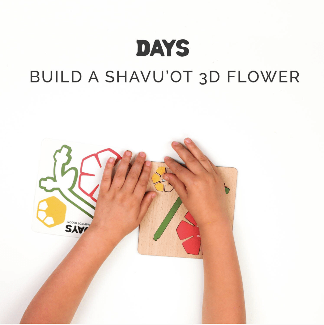 Days United - Shavuot in a Box Kit - ModernTribe