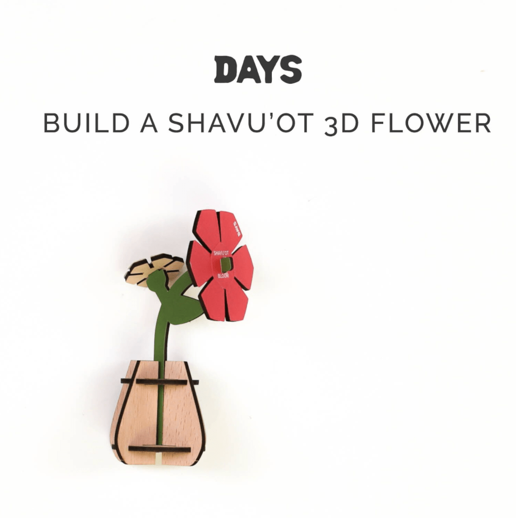 Days United - Shavuot in a Box Kit - ModernTribe