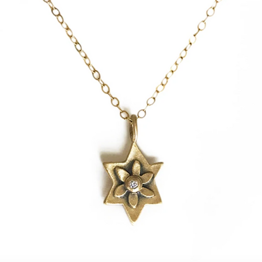 14k Gold Botanical Star of David Necklace by Emily Rosenfeld -  Choice of Gemstone