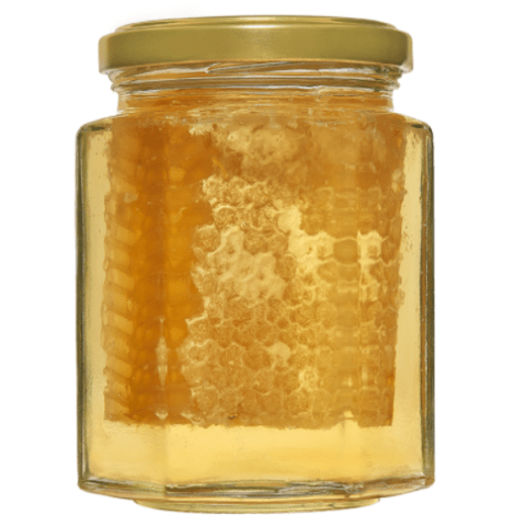 Savannah Bee Company - Raw Acacia Honeycomb Jar by Savannah Bee Company - ModernTribe