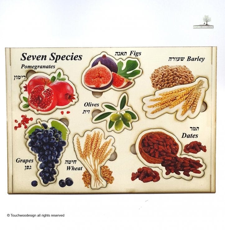 Piecework Puzzles Puzzles Seven Species Puzzle