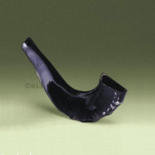 Rite Lite - Medium Shofar - ModernTribe