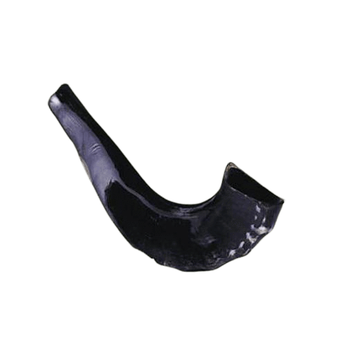 Medium Shofar