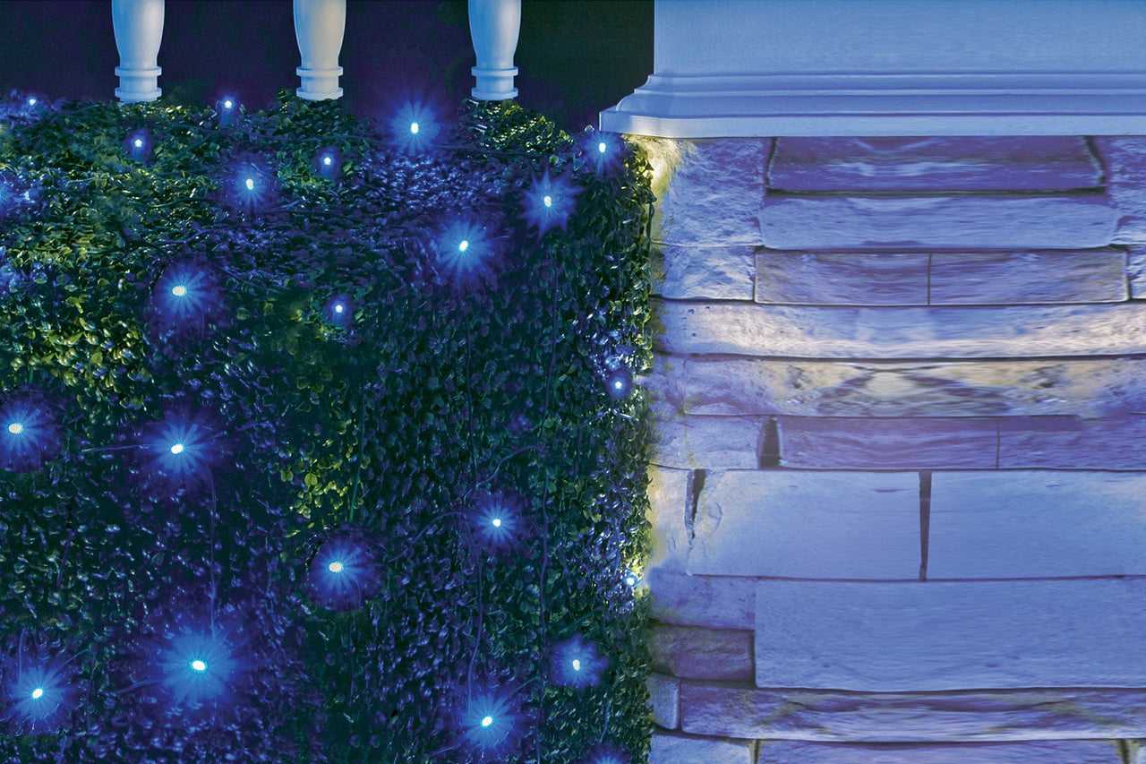 Rite Lite - Outdoor Light String with 20 Micro LED Blue Lights - ModernTribe