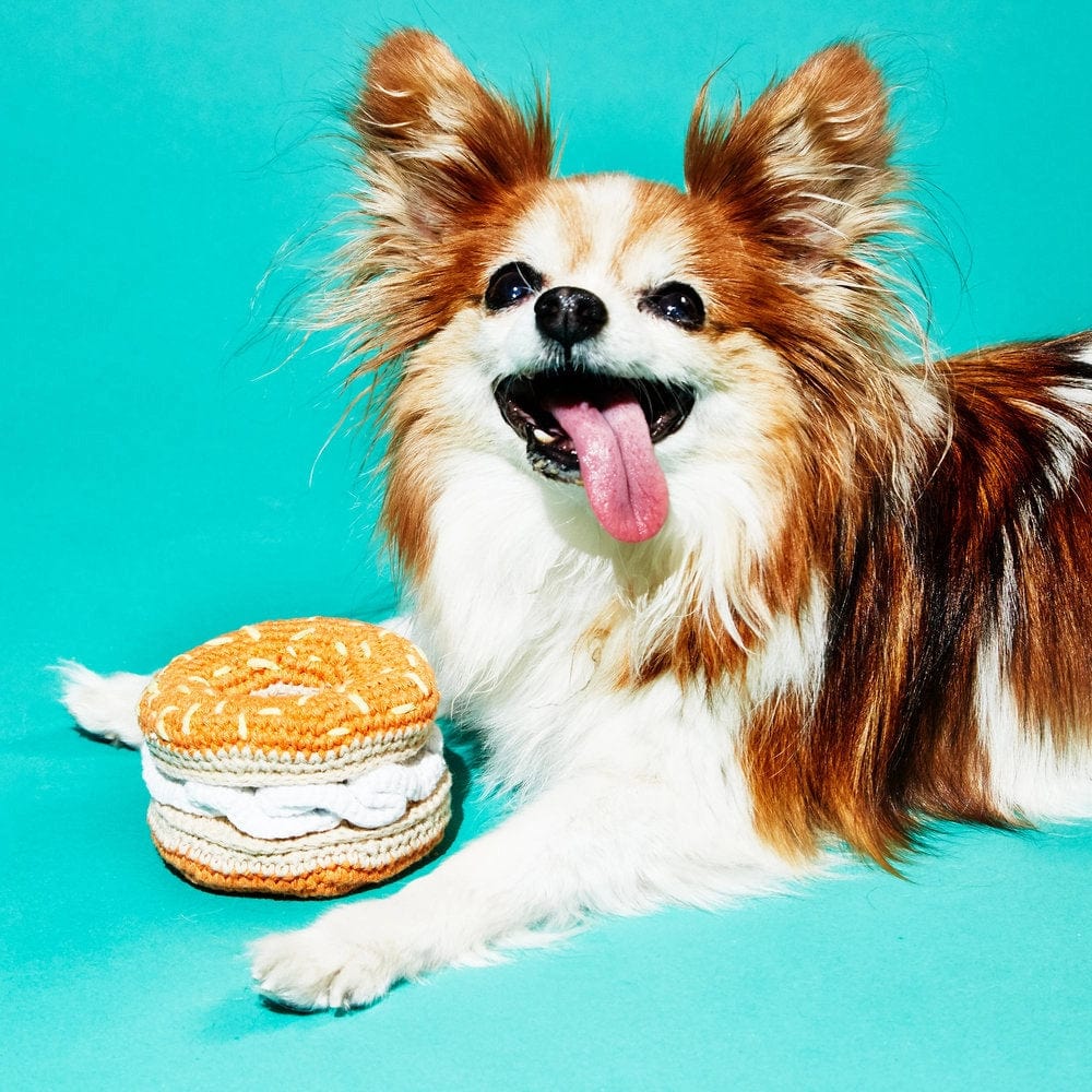 Ware of the Dog - Hand Crochet Bagel and Cream Cheese Dog Toy - ModernTribe