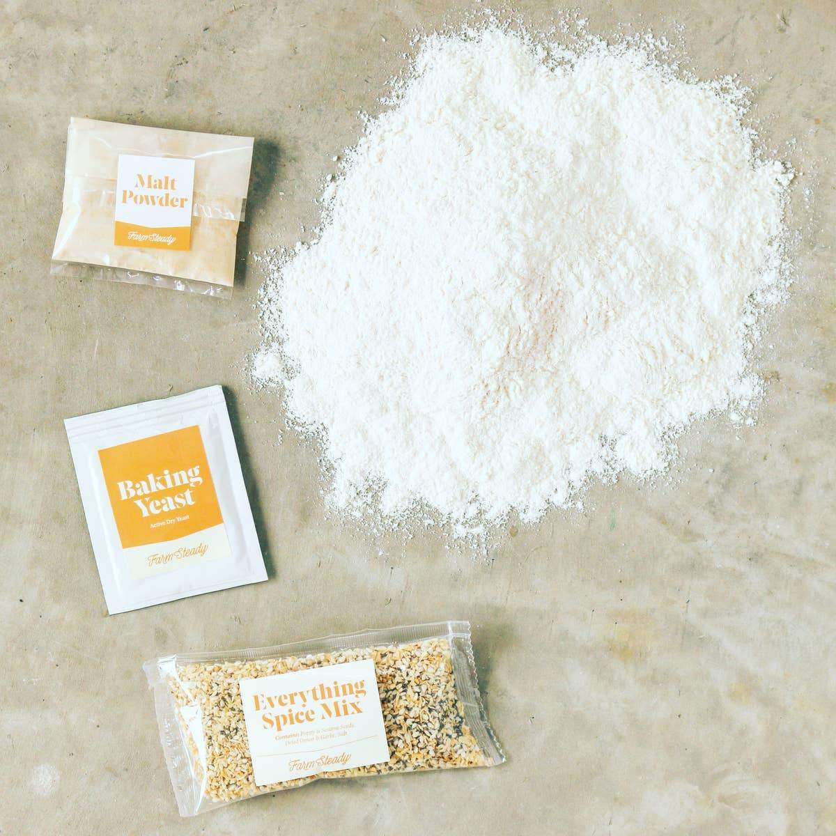 Farm Steady - Everything Bagel and Cream Cheese Making Kit - ModernTribe