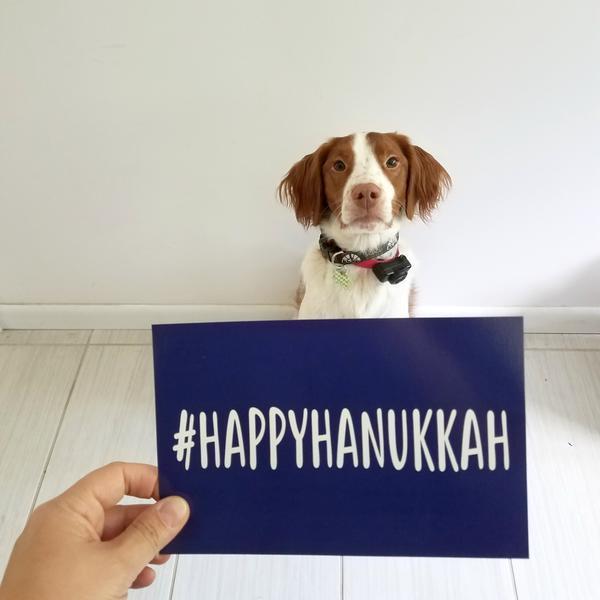 Tchotch Shop - HAPPYHANUKKAH Oversized Postcards - 6 Pack - ModernTribe