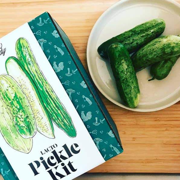 Farm Steady - Lacto - Pickle Making Kit - ModernTribe