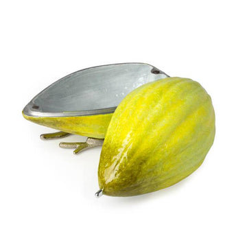 Quest - Etrog Box - ModernTribe