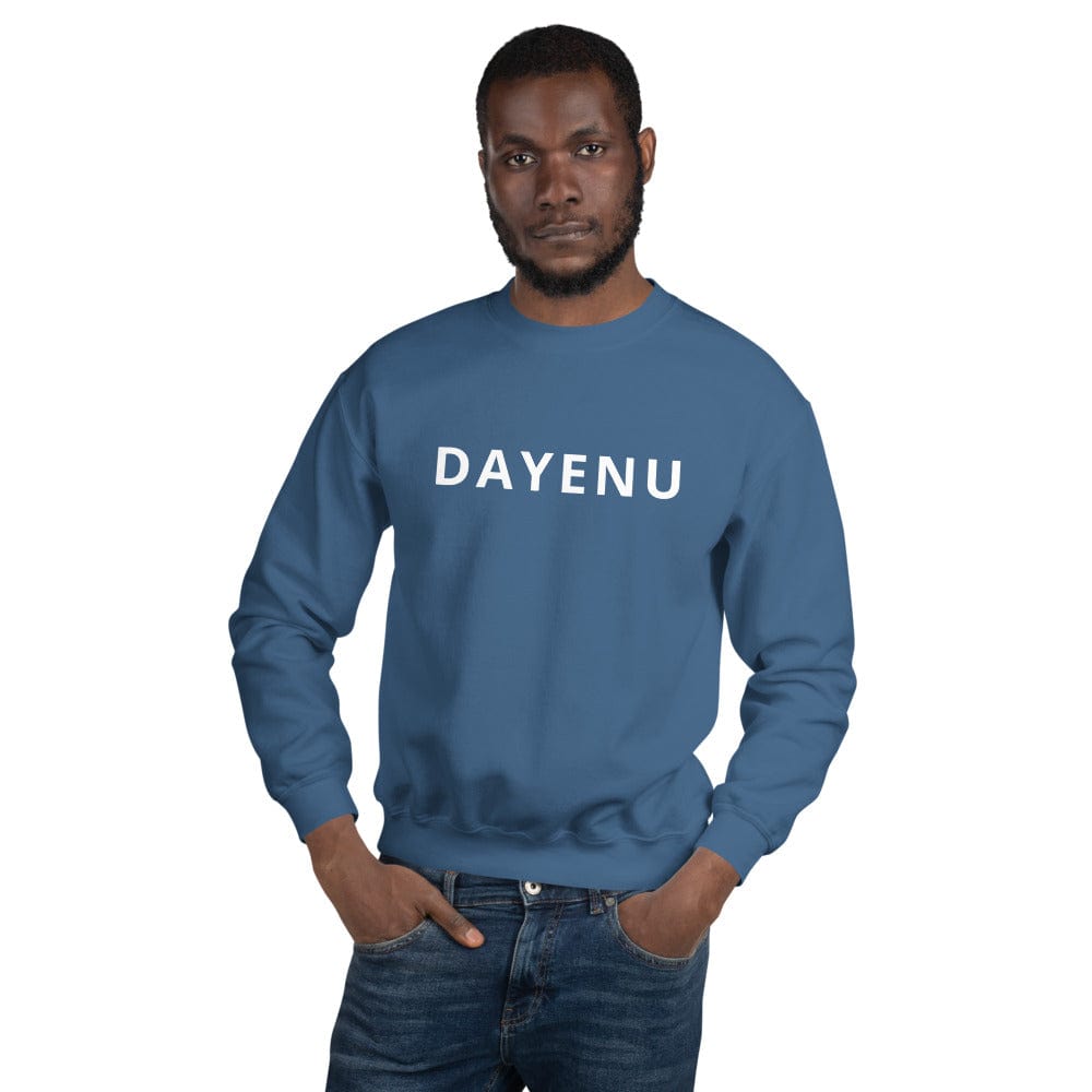 ModernTribe Apparel Dayenu Unisex Sweatshirt Choice of Color Sizes S 5XL Light Pink M